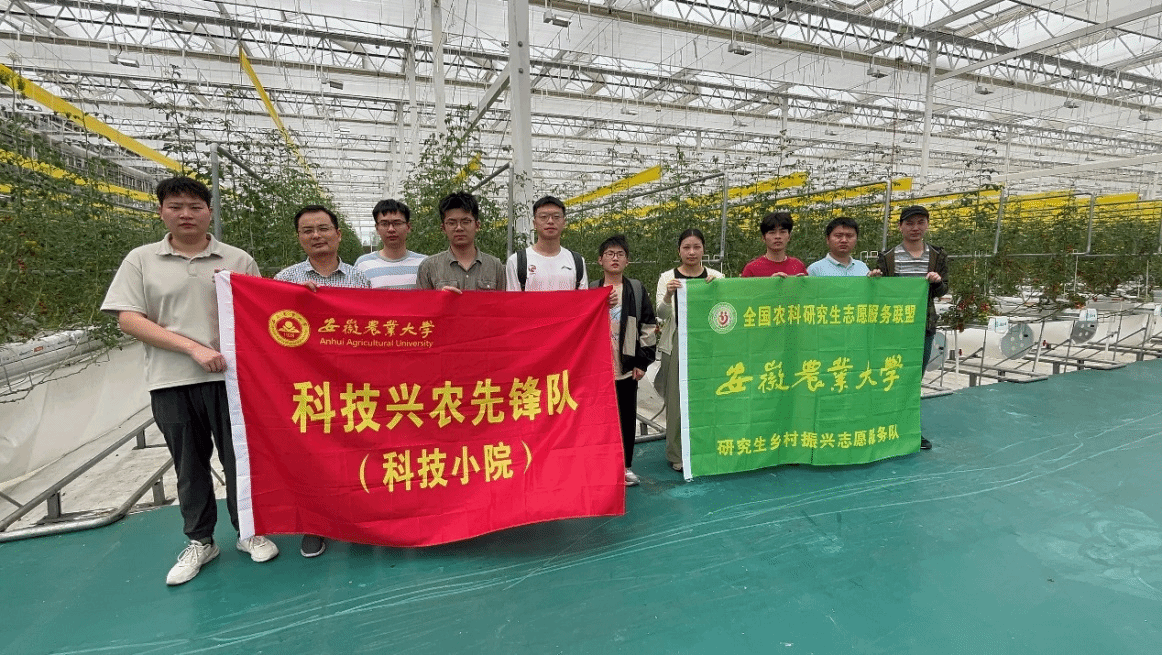 信息與人工智能學院扎實推進舒城智能蔬菜科技小院建設與信息系統(tǒng)運行維護服務